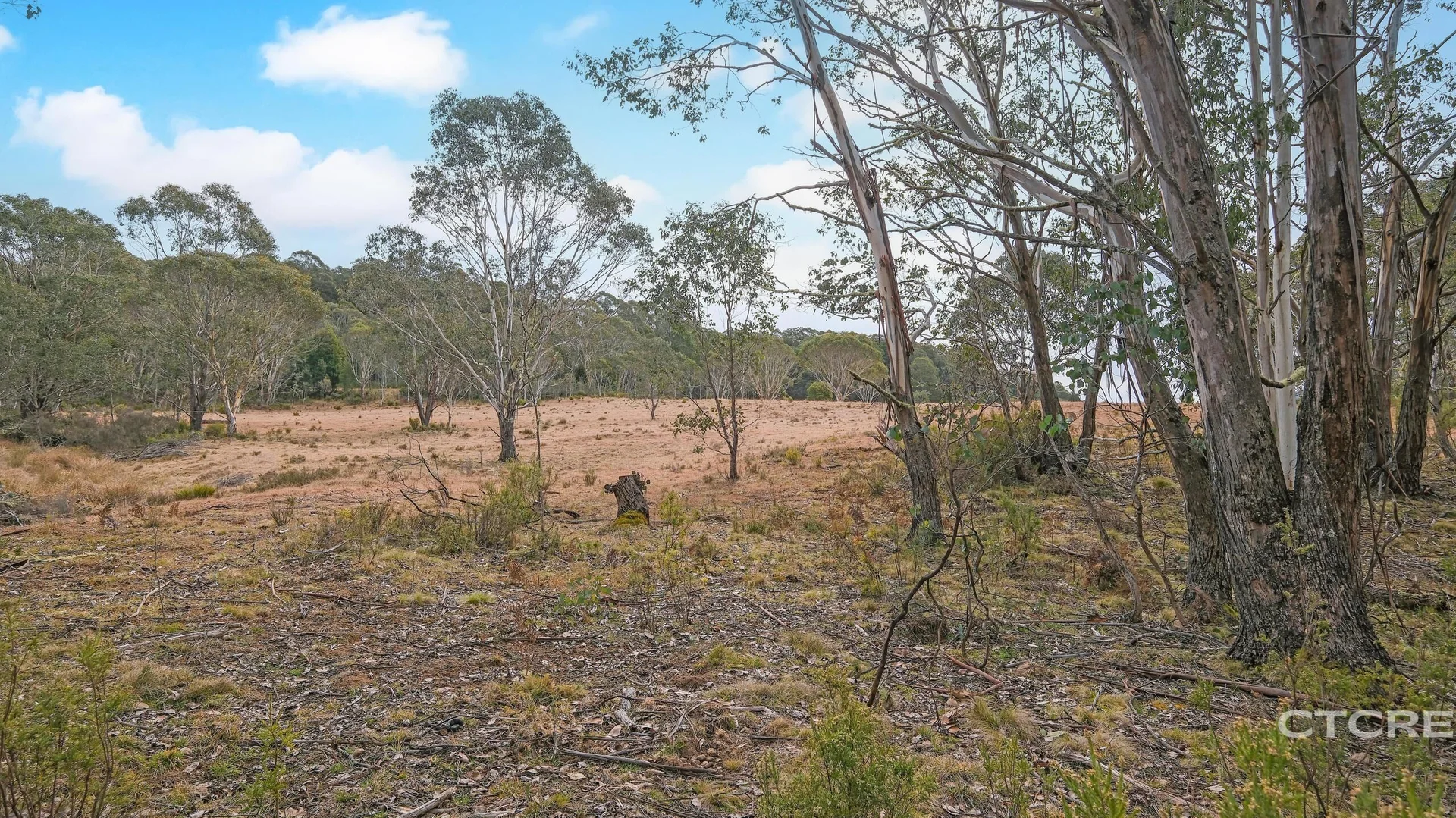 Additional image 17 of 1695 Bendoc-Orbost Road, Bendoc VIC 3888