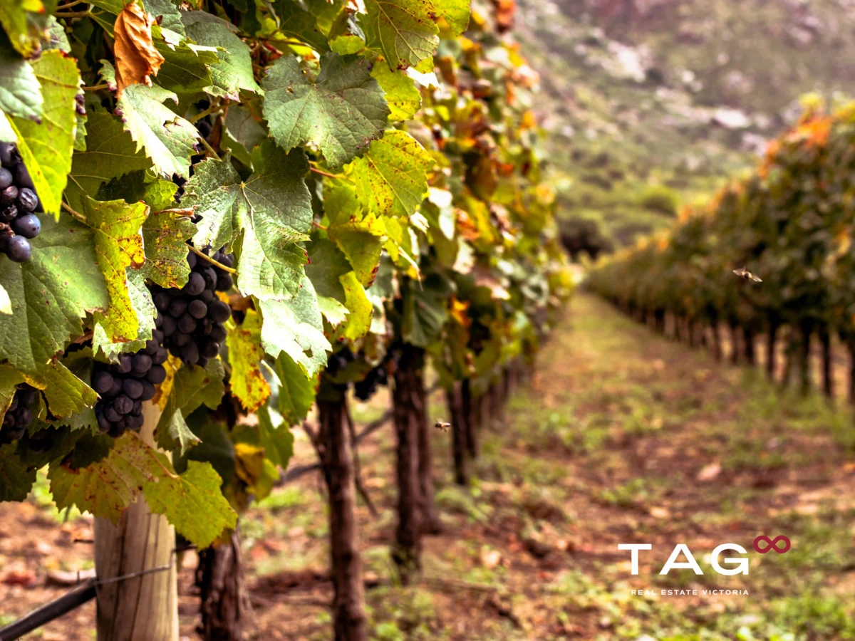 Additional image 20 of 170 Riverend Road, Bangholme VIC 3175