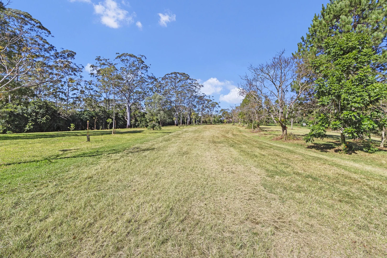 Additional image 5 of 28a Geissmann Street, Tamborine Mountain QLD 4272