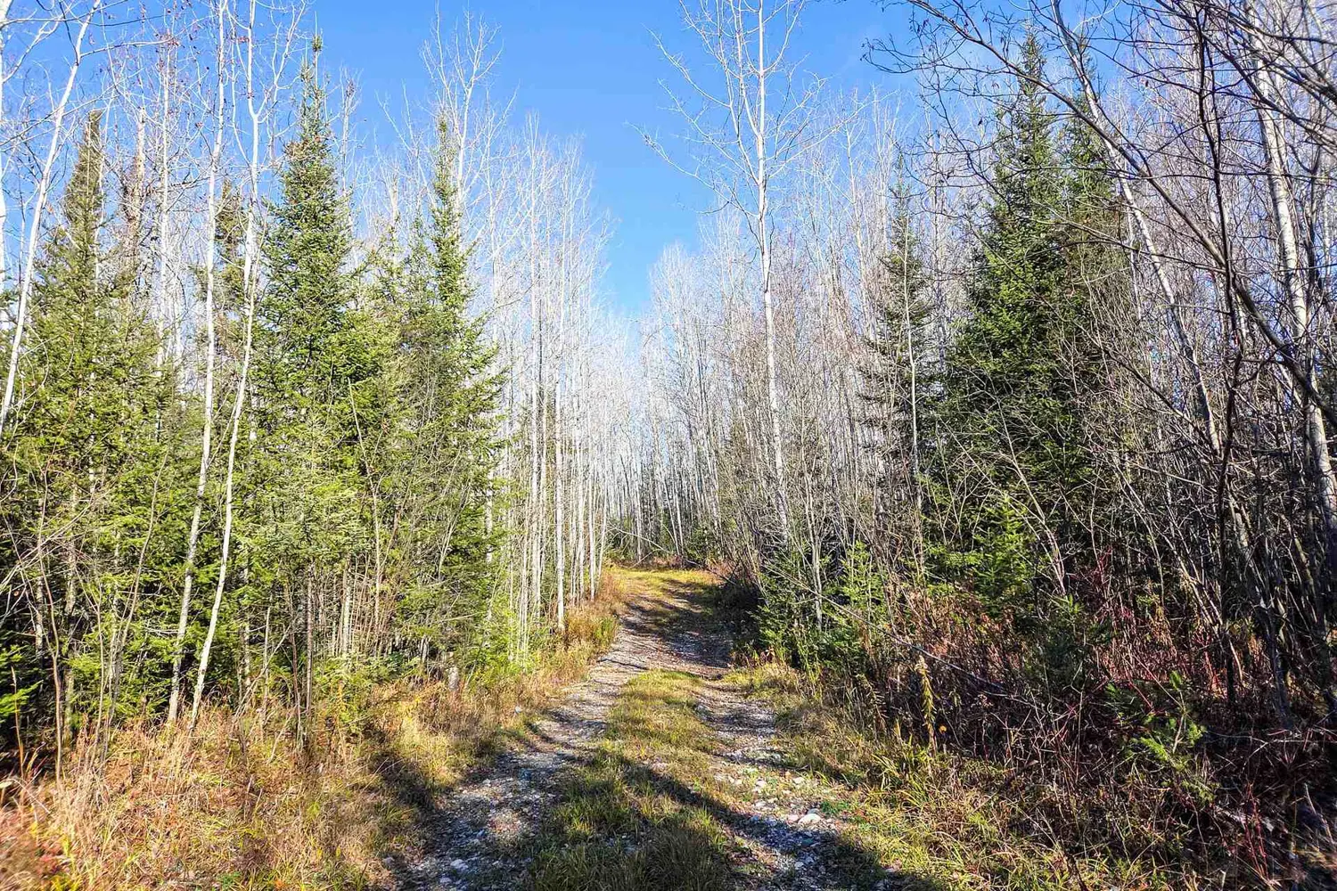 Additional image 8 of Pt 4 Cabin Road