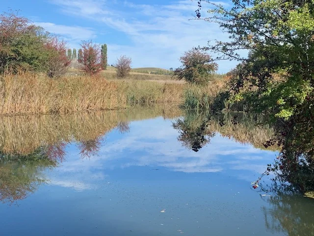 Additional image 18 of 172 Hazelwood Road, Stonehenge NSW 2370