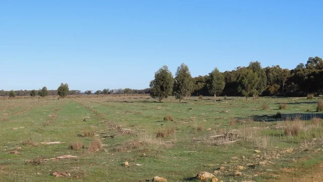 Additional image 2 of 225 Coles-Killanoola Road, Coles SA 5272