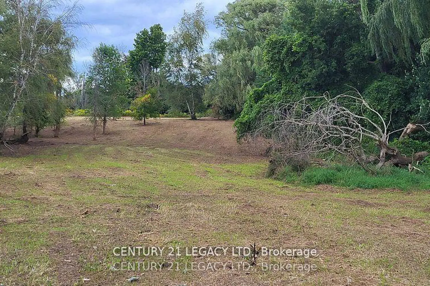 Additional image 10 of 1278 Hwy 5