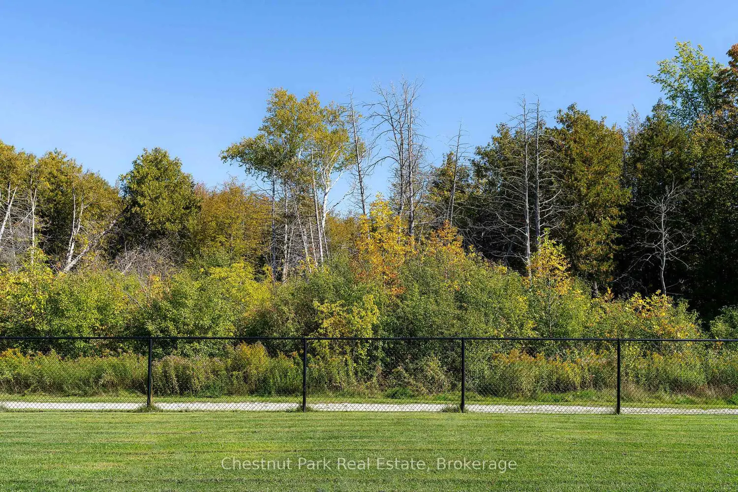 Additional image 13 of 103 Creekwood Court