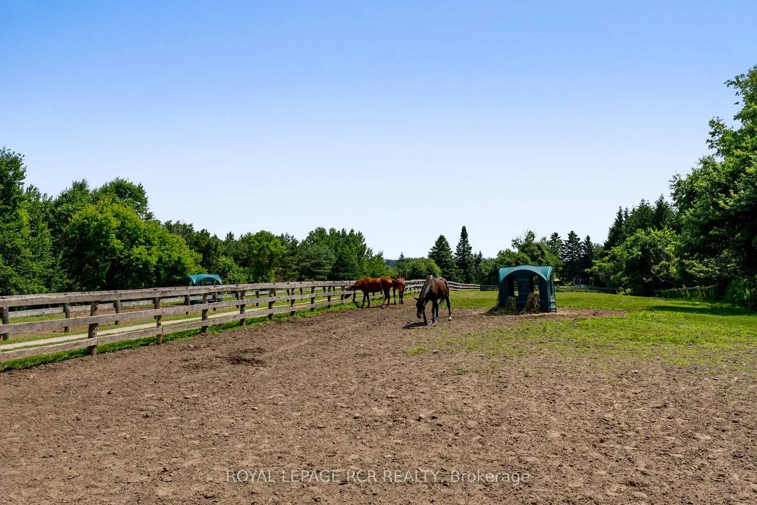 Additional image 13 of 994034 Mono-Adjala Townline Road