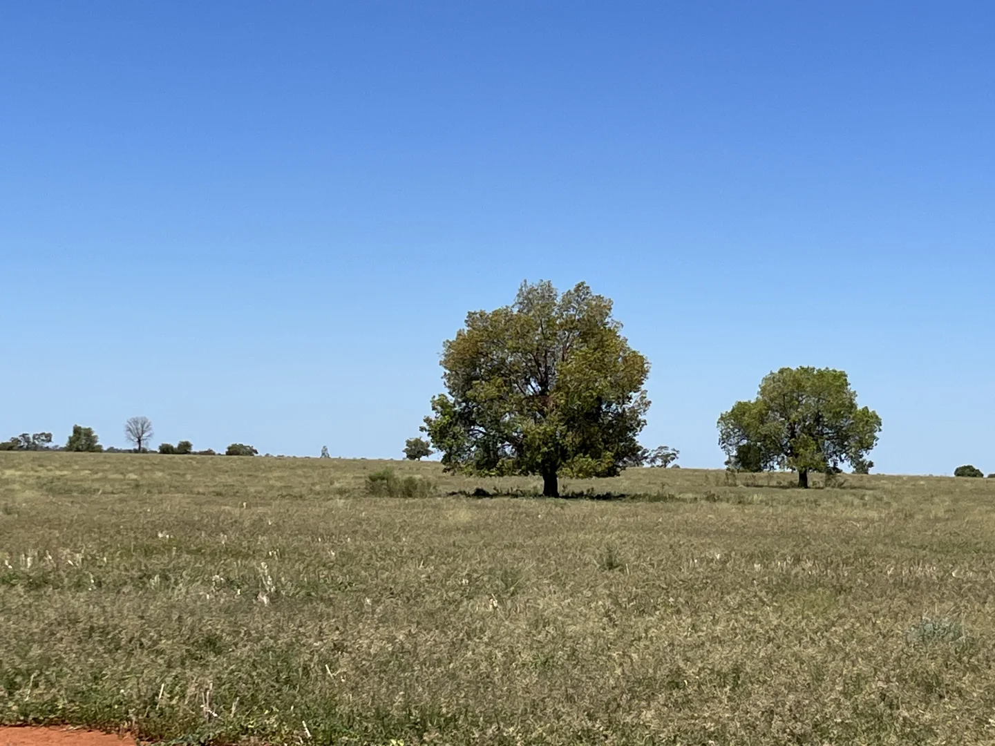 Additional image 24 of "Glendale"/4666 Mitchell Highway, Girilambone NSW 2831