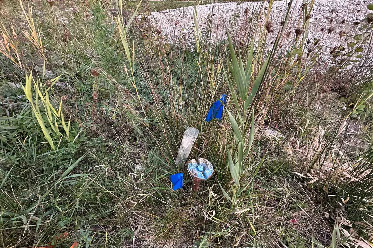 Additional image 5 of 9880 Beachwood Road