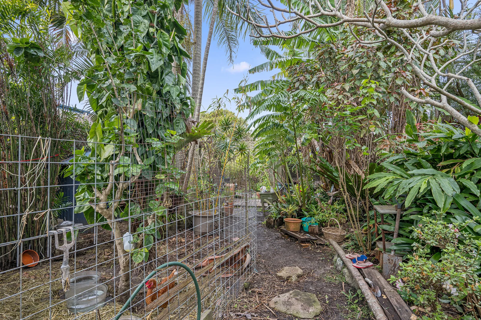 Additional image 25 of 856 Ocean Drive, Bonny Hills NSW 2445