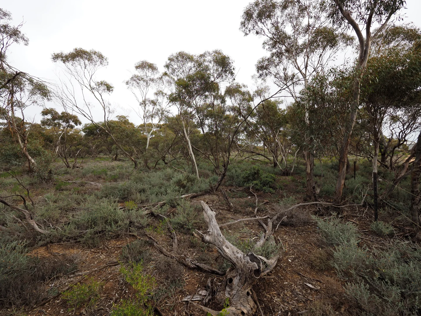 Additional image 11 of Lots 1-6, Towns Street, Chillingollah VIC 3585