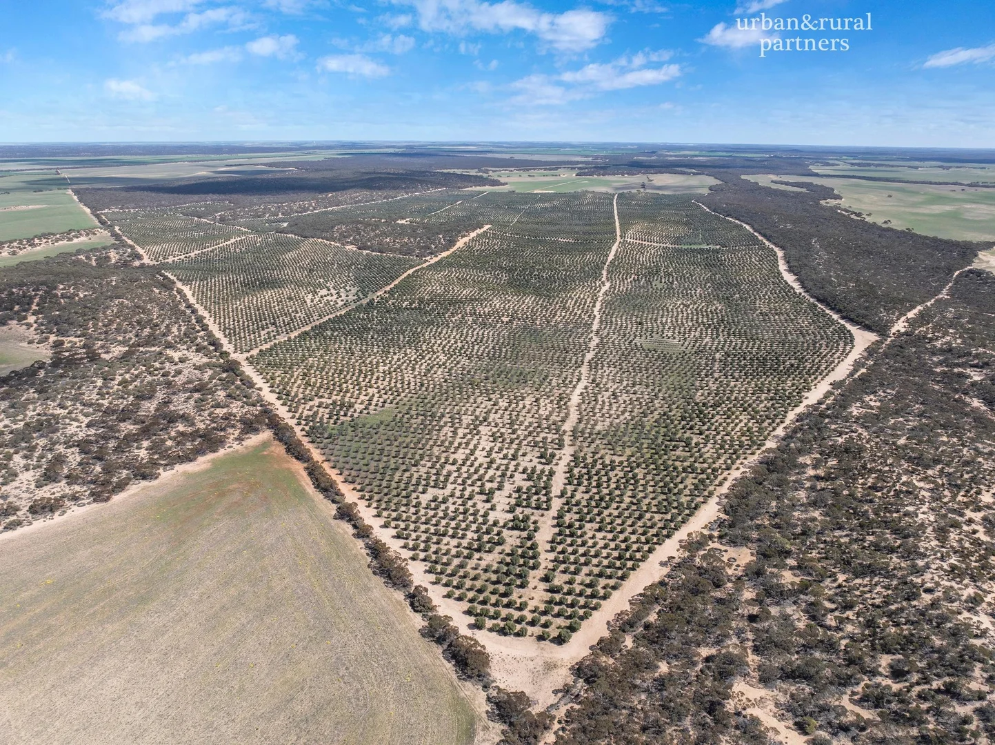 Additional image 7 of 1575 Kringin Road, Karte SA 5304