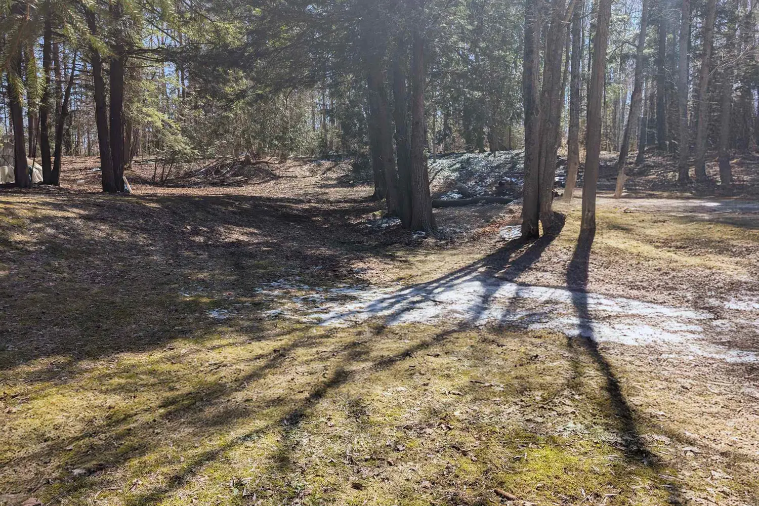 Additional image 14 of 120 Anderson Drive