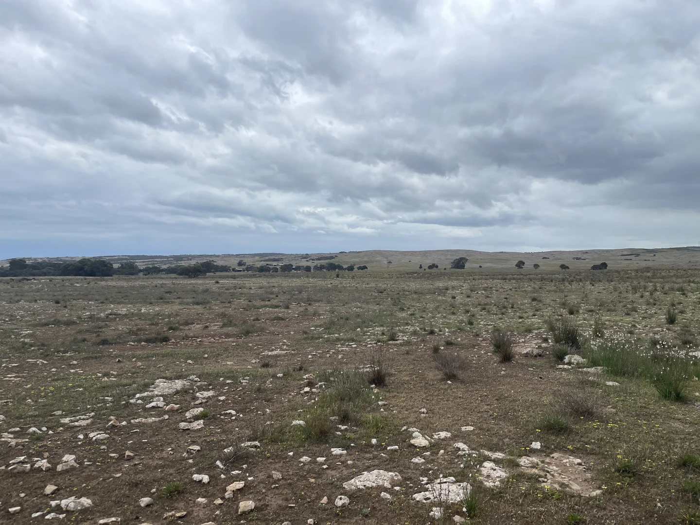 Additional image 14 of 1 Section 217, 217 & 219, Bramfield SA 5670