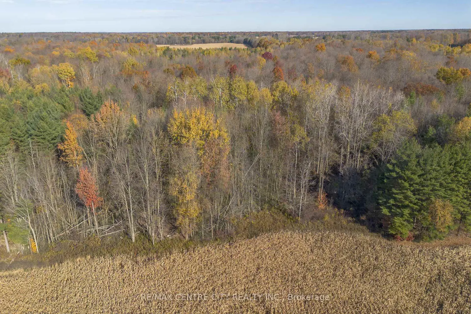 Additional image 11 of Pt Lt 140&141 Col Talbot Road