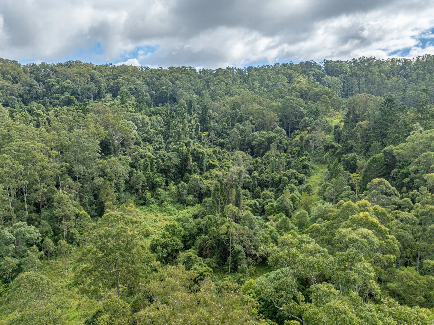 Additional image 30 of 69 Hidden Valley Road, Barkers Vale NSW 2474