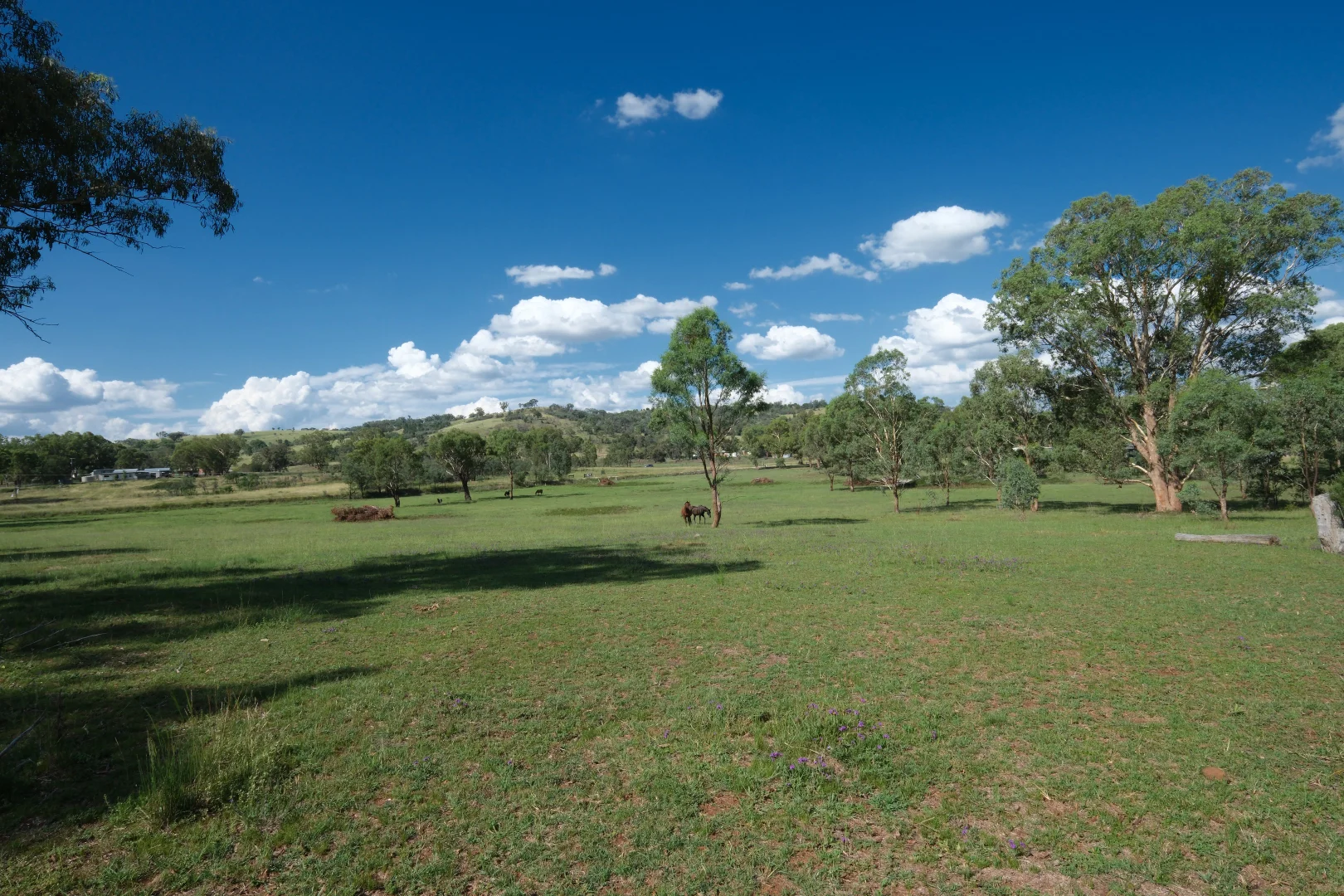 Additional image 10 of 1380 Elsmore Road (Elsmore), Inverell NSW 2360