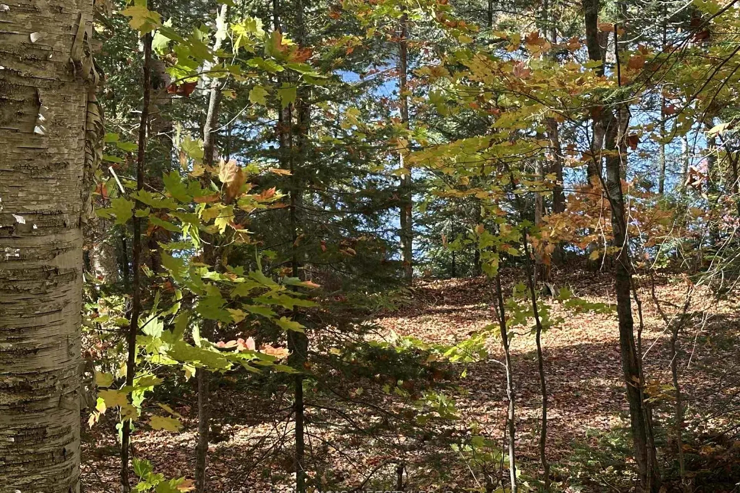 Additional image 19 of 0 Balsam Lane