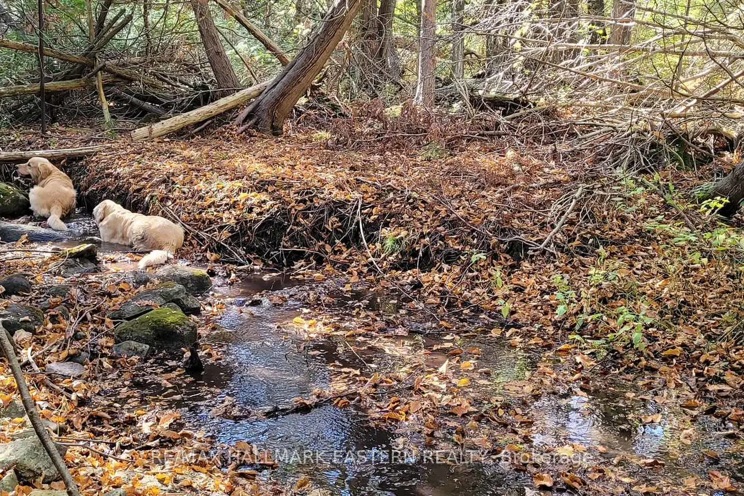 Additional image 5 of 323 Orange Corners Road