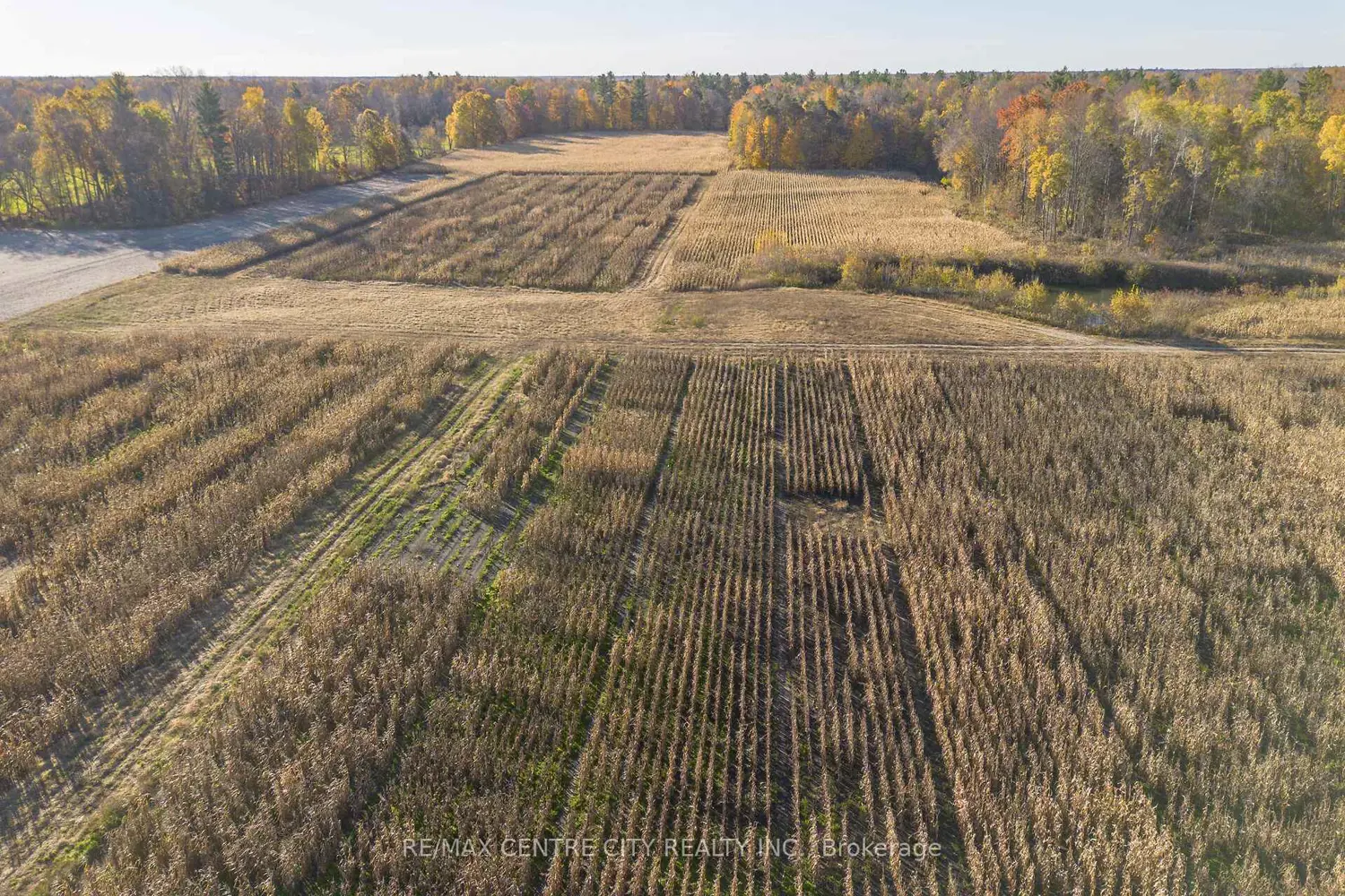 Additional image 17 of 8916 Coyle Road