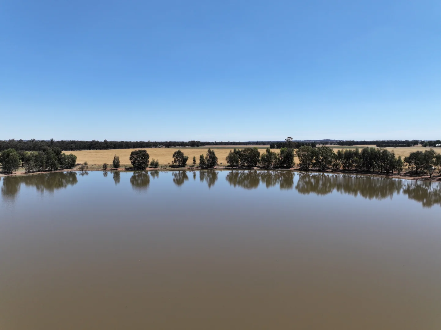 Additional image 4 of 'Part Greendale' Mandamah Forest Road, Ariah Park NSW 2665