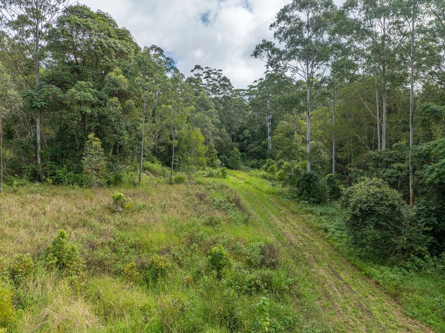 Additional image 26 of 69 Hidden Valley Road, Barkers Vale NSW 2474