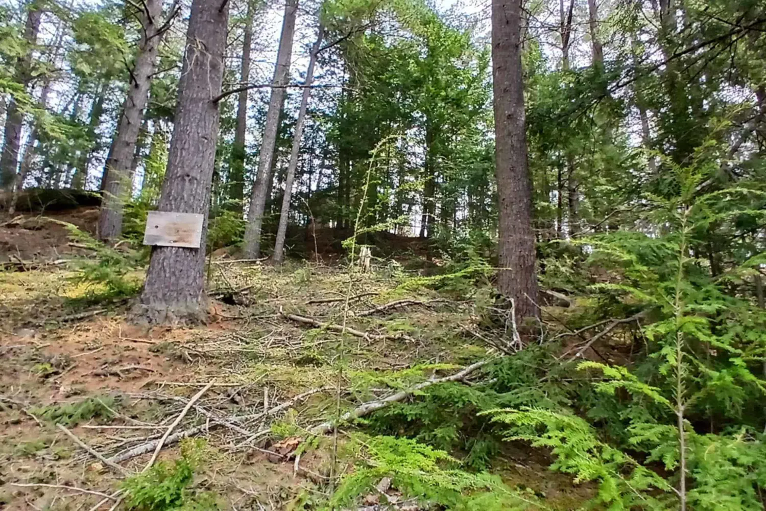 Additional image 6 of 0 Concession 3 Road