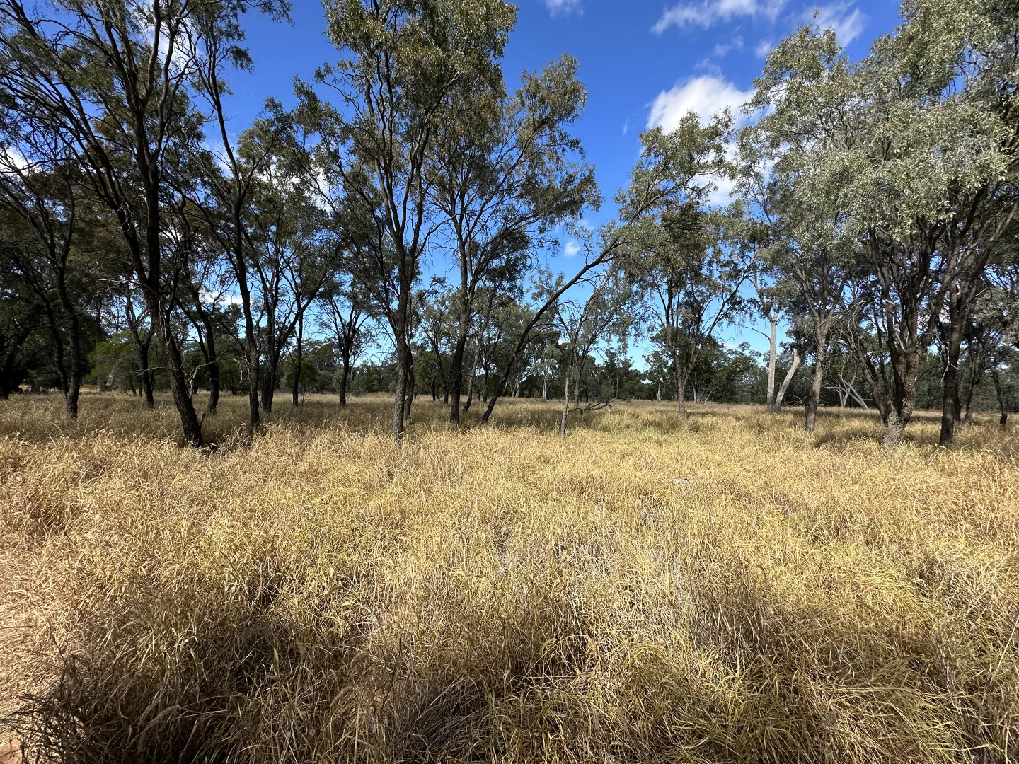 Additional image 6 of 0 Zieman Street, Bakers Bend QLD 4470