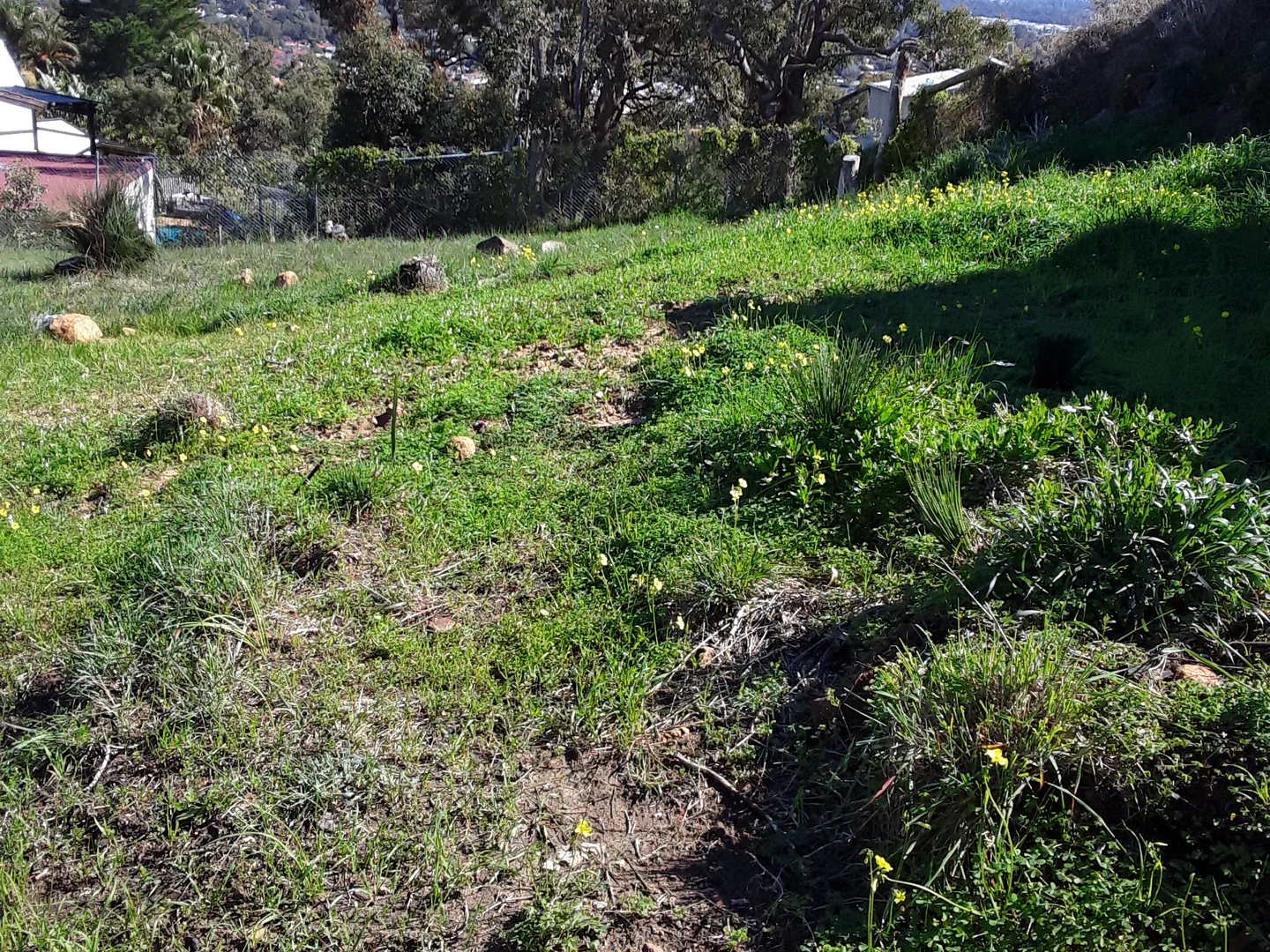 Additional image 4 of 18 Looranah Street, Mount Nasura WA 6112