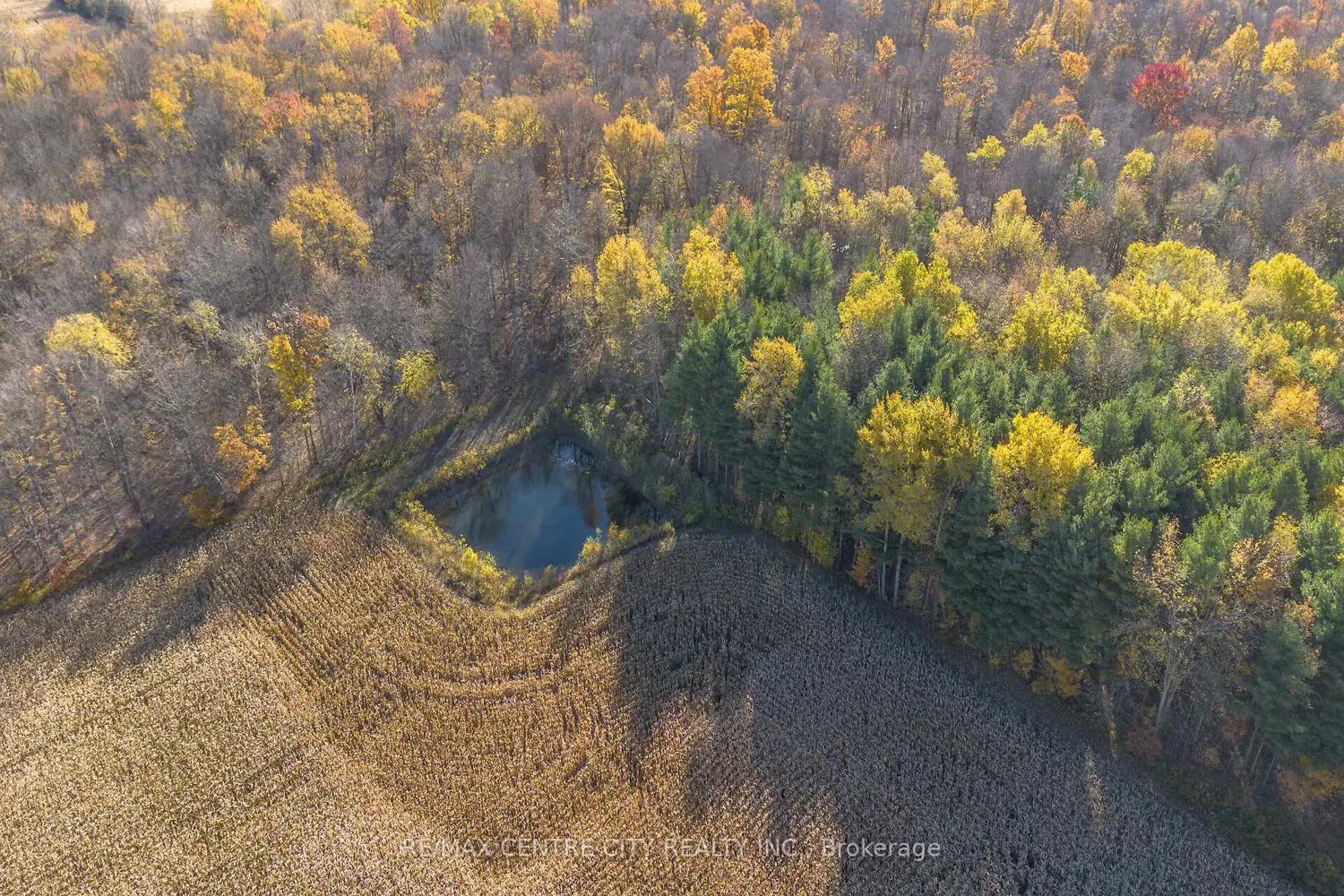 Additional image 16 of Pt Lt 140&141 Col Talbot Road