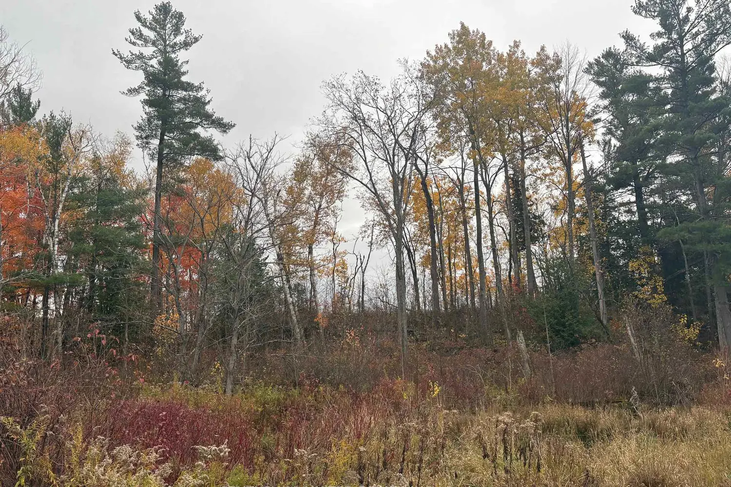 Additional image 6 of 0 Godolphin Road