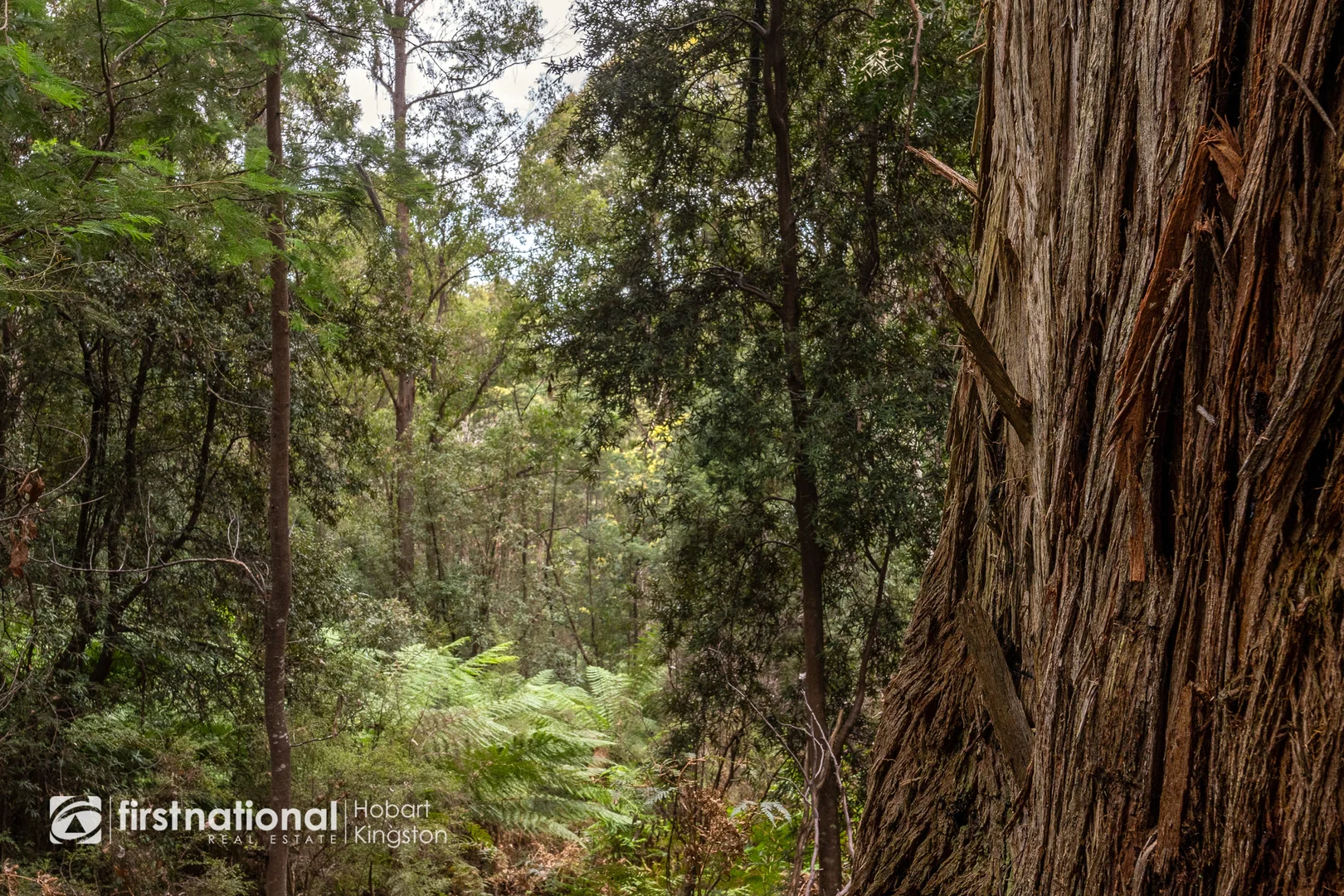 Additional image 20 of 240 Watsons Road, Kettering TAS 7155