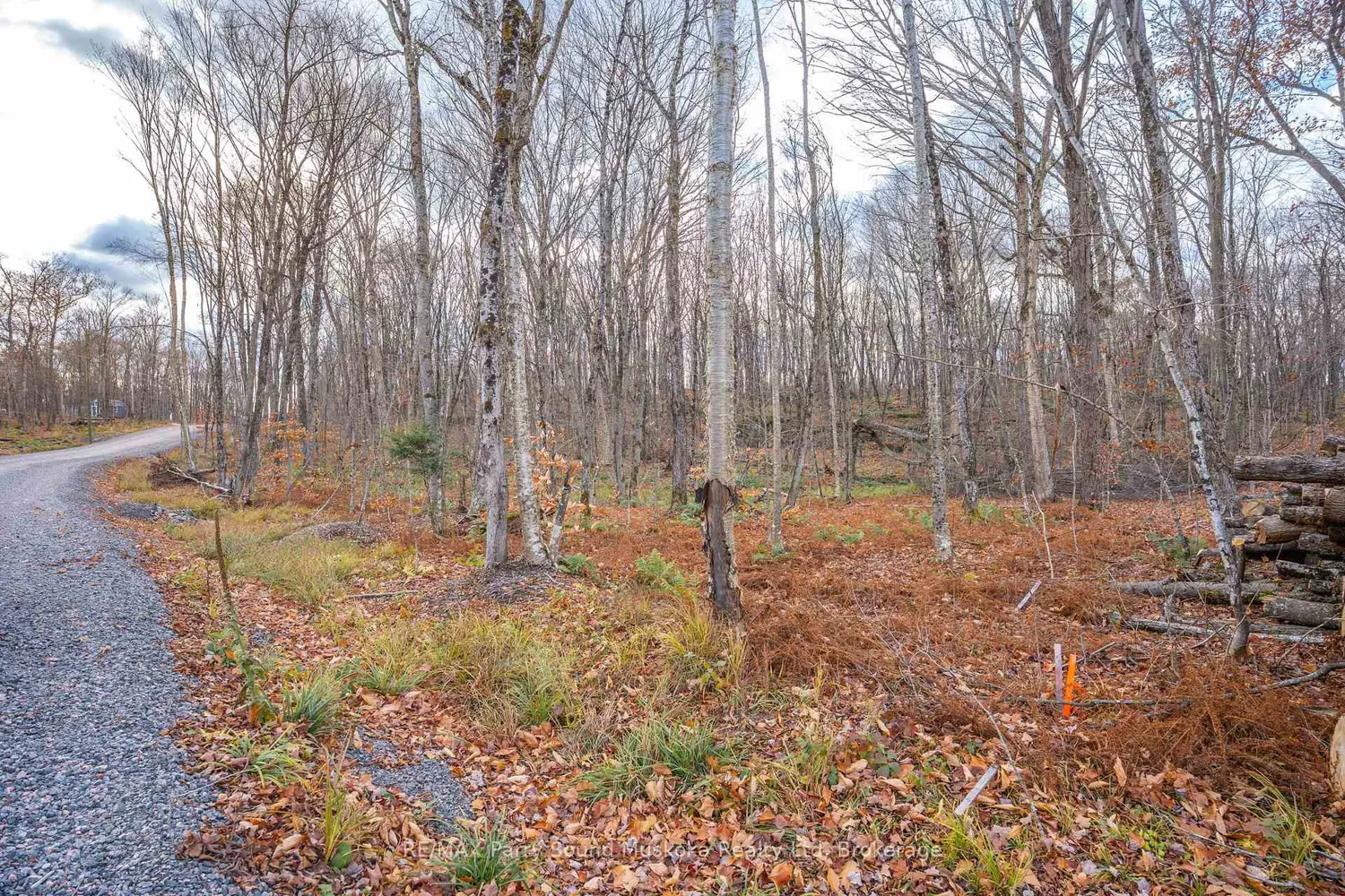 Additional image 19 of Part 7 Standing People Road