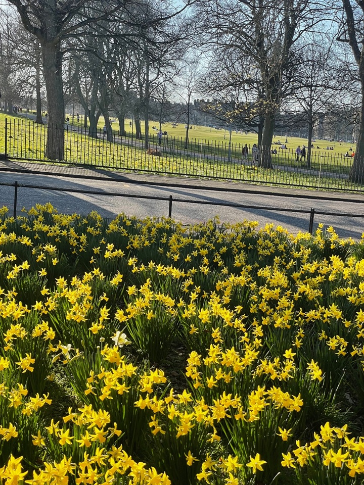 Additional image 7 of 5 Bed Flat, Warrender Park Terrace, EH9, N1 7GU