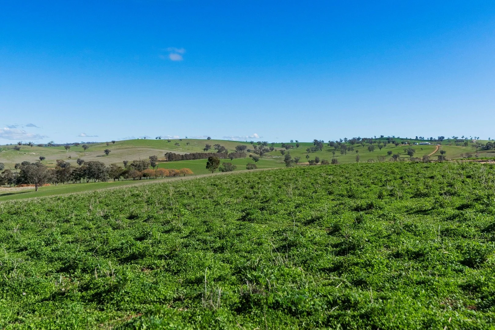 Additional image 4 of 670 Leahy Road, Wagga Wagga NSW 2650