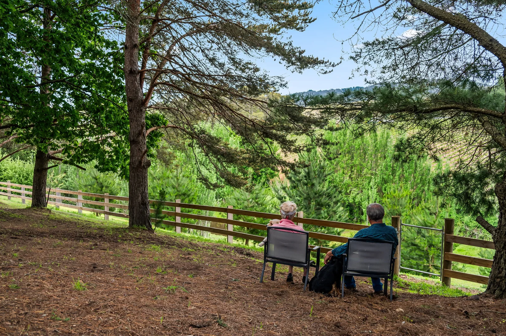 Additional image 36 of 32 Drivers Road, Summertown SA 5141