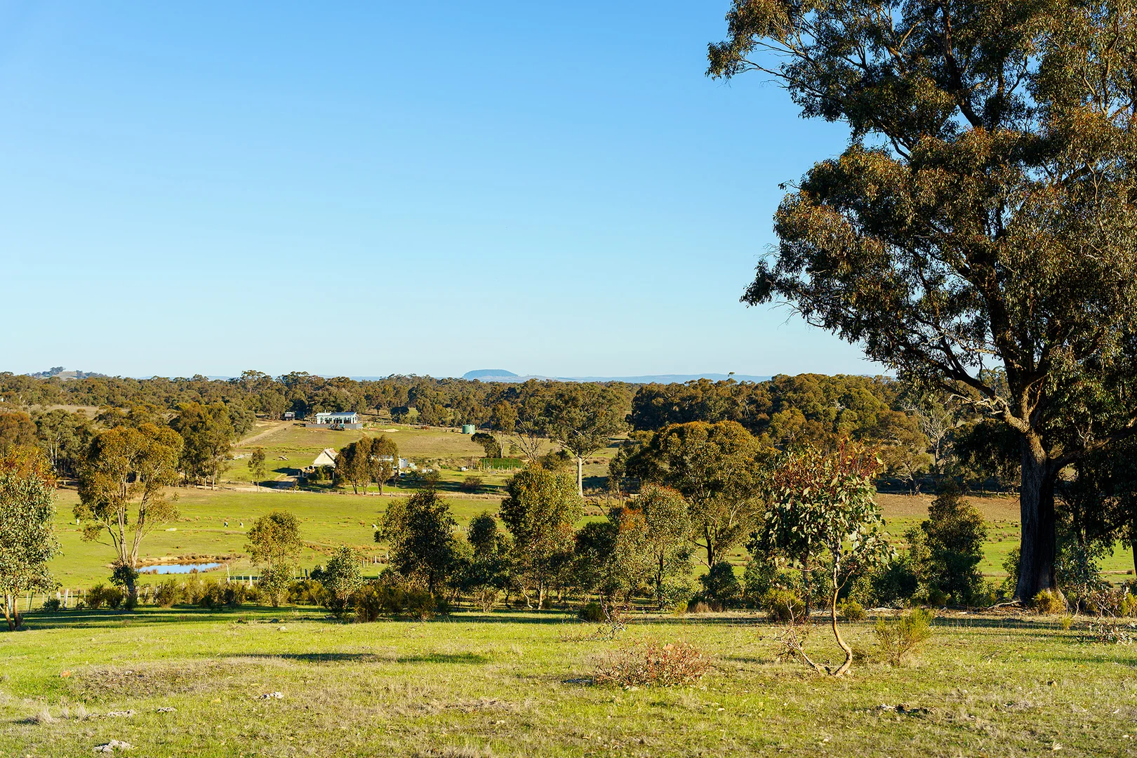 Additional image 16 of 275 Castlemaine-Maldon Road, Muckleford VIC 3451