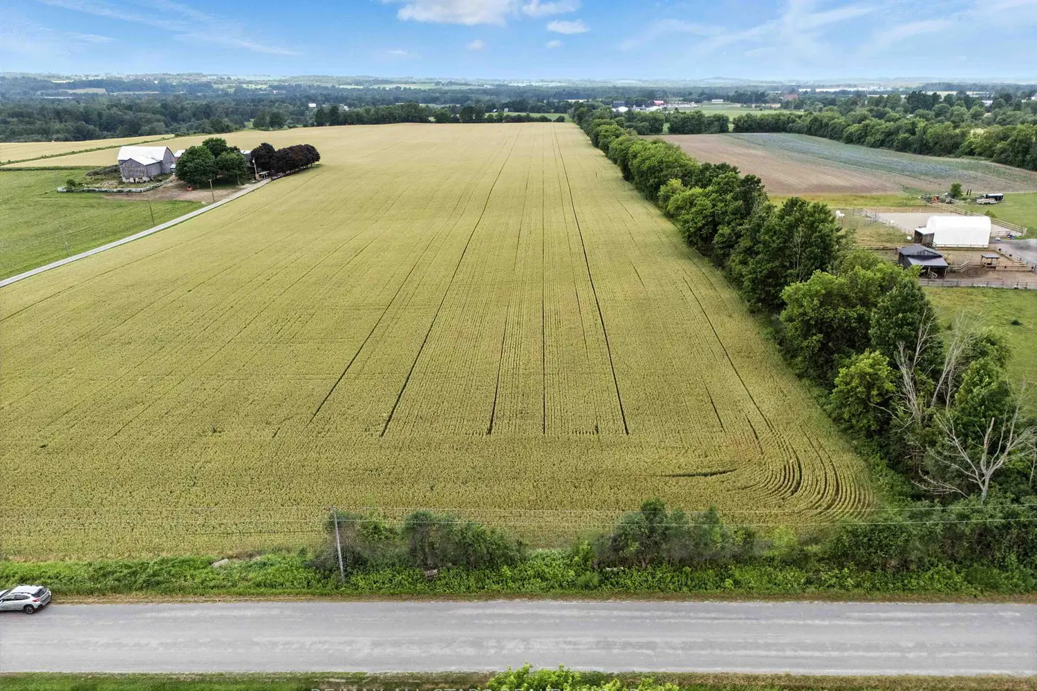 Additional image 5 of 0 Scugog Line 4