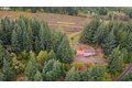 Additional image 31 of 32320 NE Ammeter Rd, Washougal, WA, 98671
