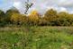 Additional image 25 of Maesquarre Road, Ammanford SA18