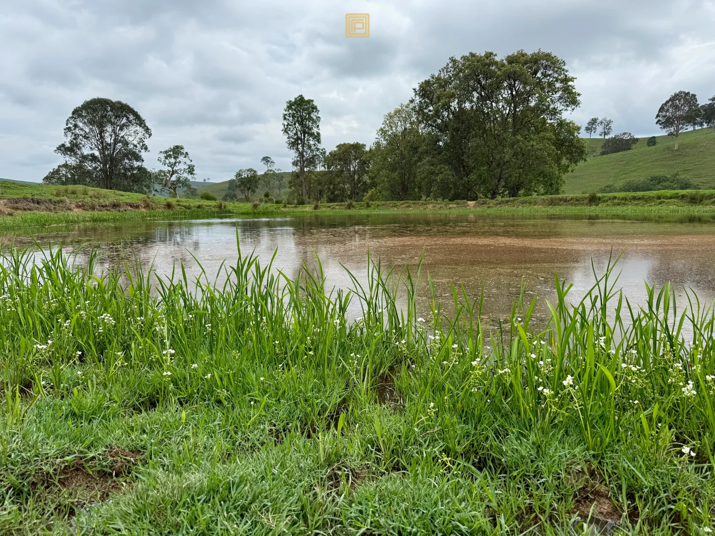 Additional image 2 of 84 Wallanbah Road, Gloucester NSW 2422