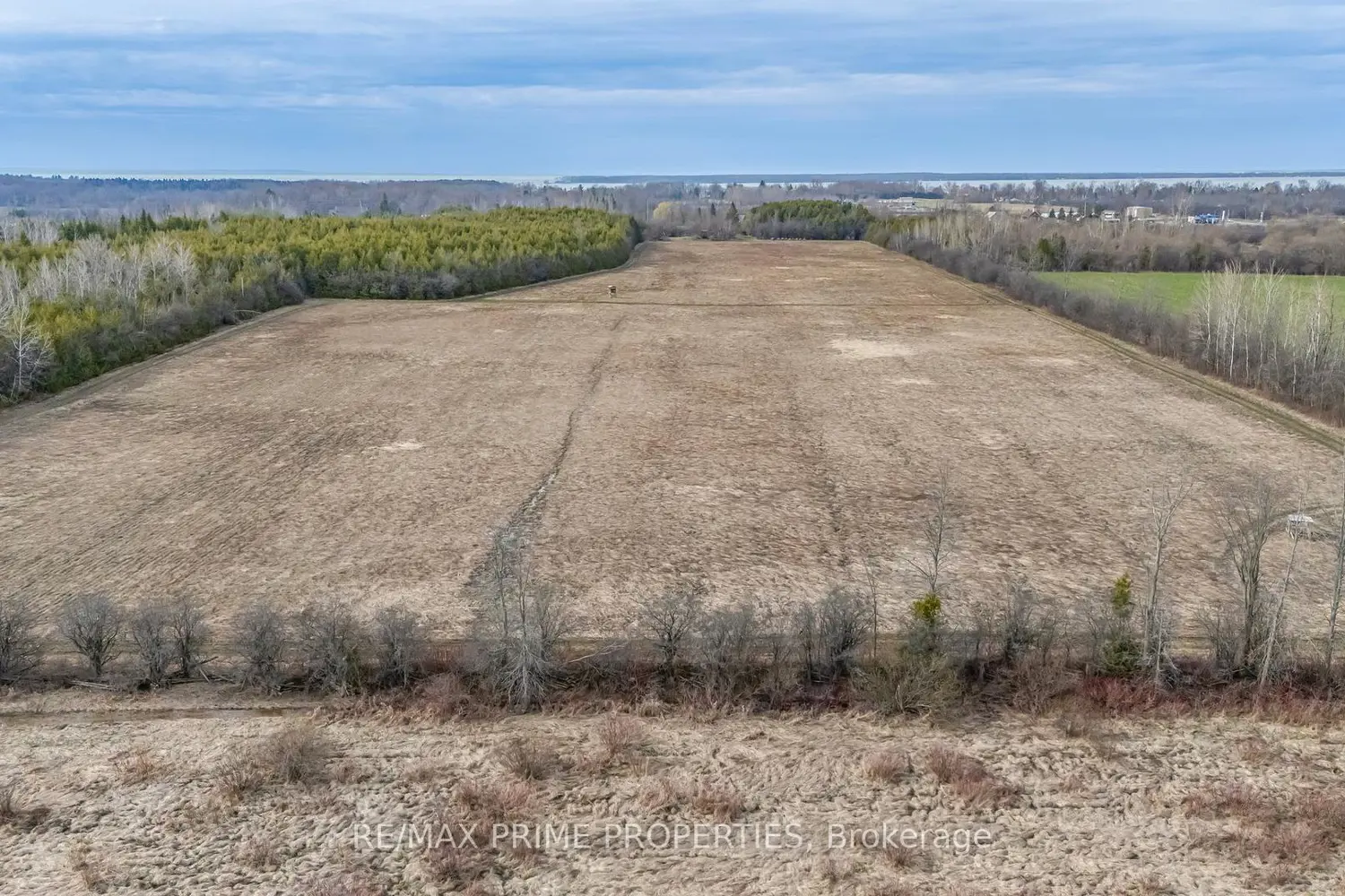 Additional image 8 of 28171 Highway 48