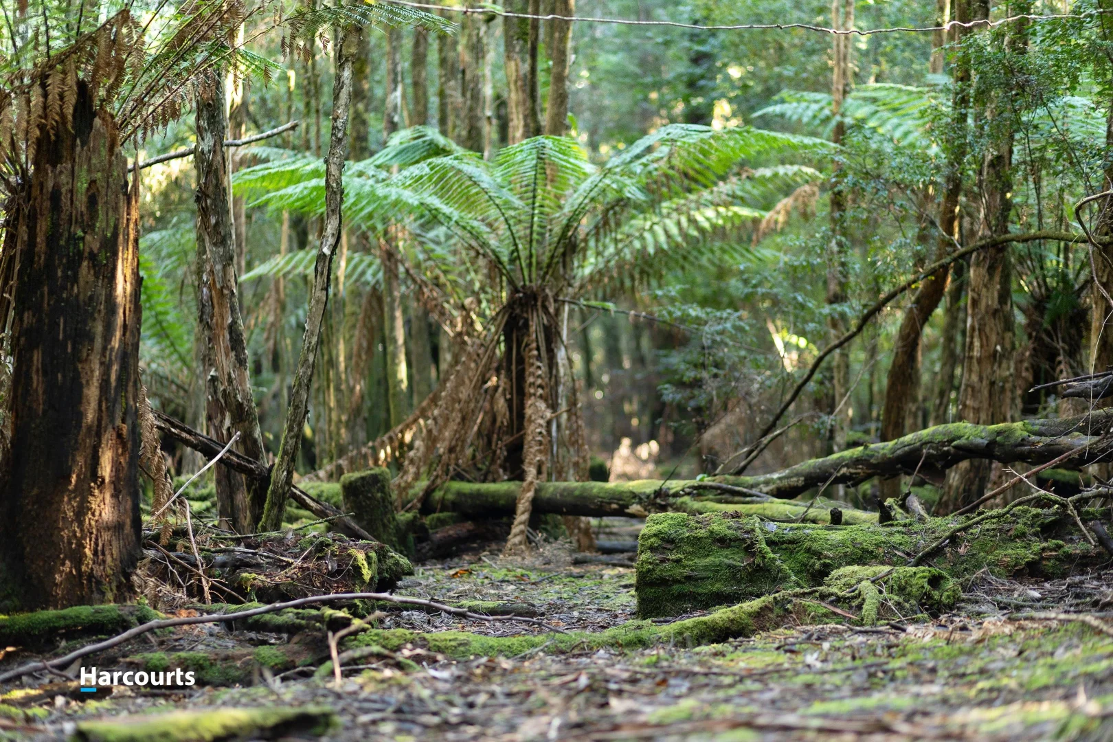 Additional image 28 of 170 Cockle Creek Road, Recherche TAS 7109