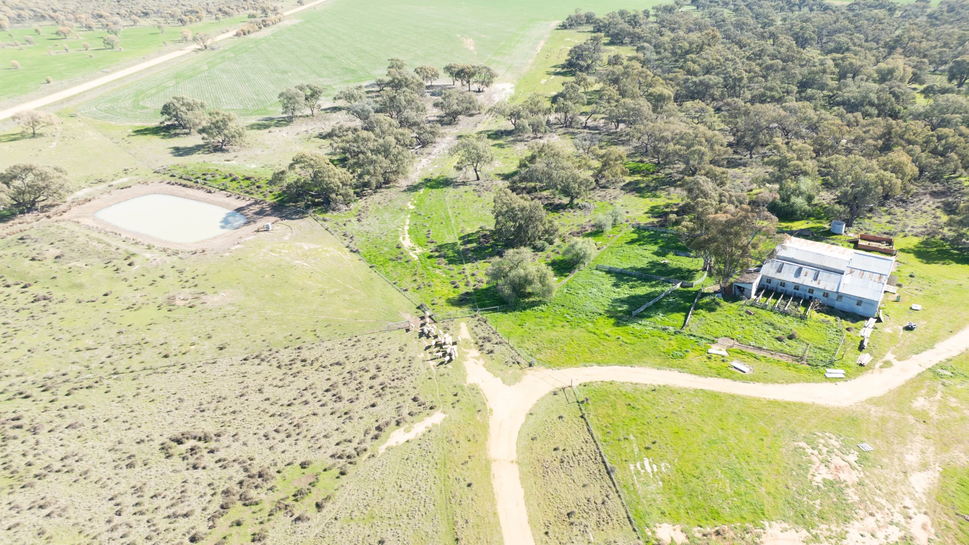 Additional image 18 of Smeatonvale Laterals Boree-Morago Rd, Deniliquin NSW 2710