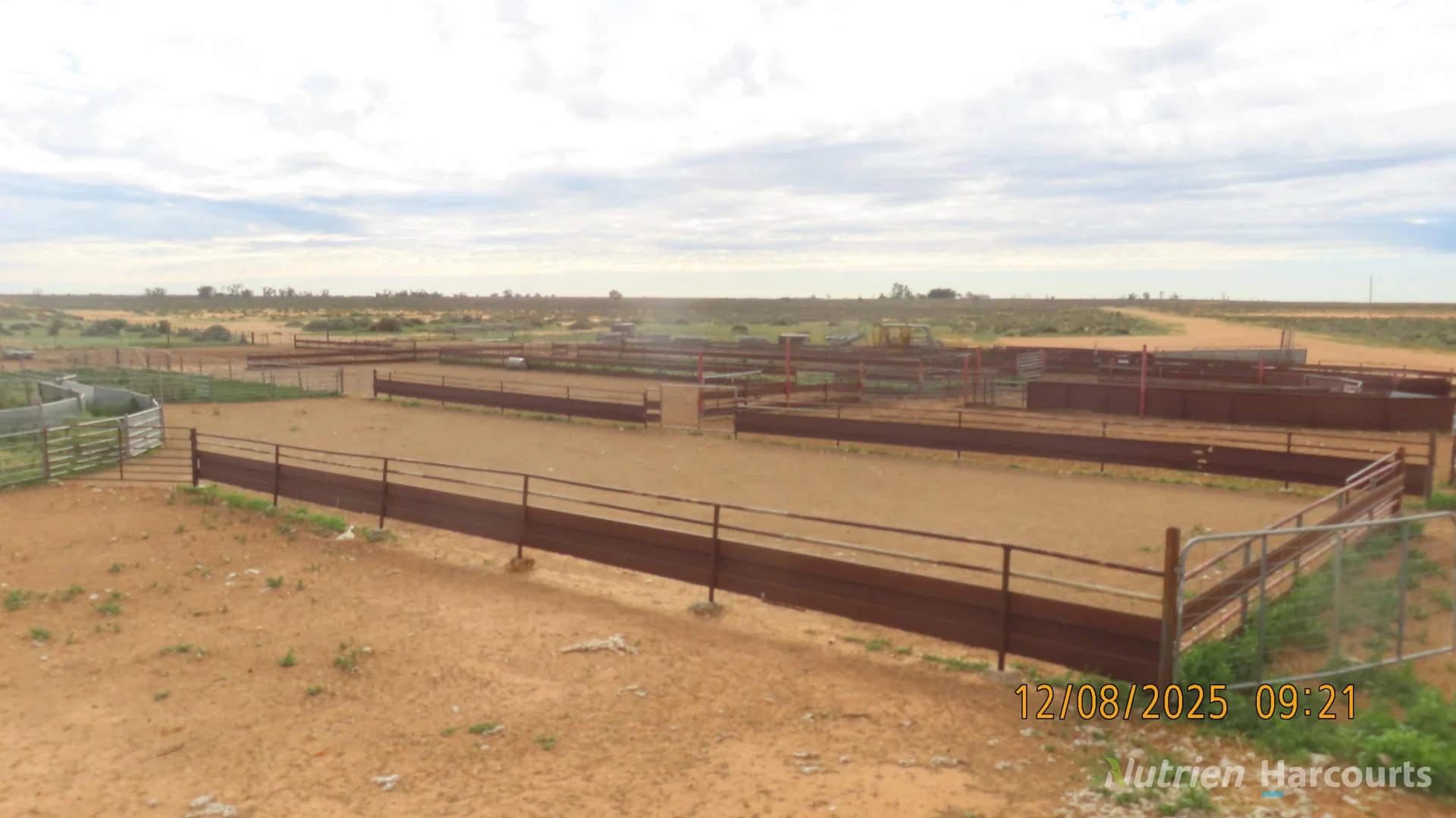 Additional image 15 of * Magenta Aggregation, Balranald NSW 2715