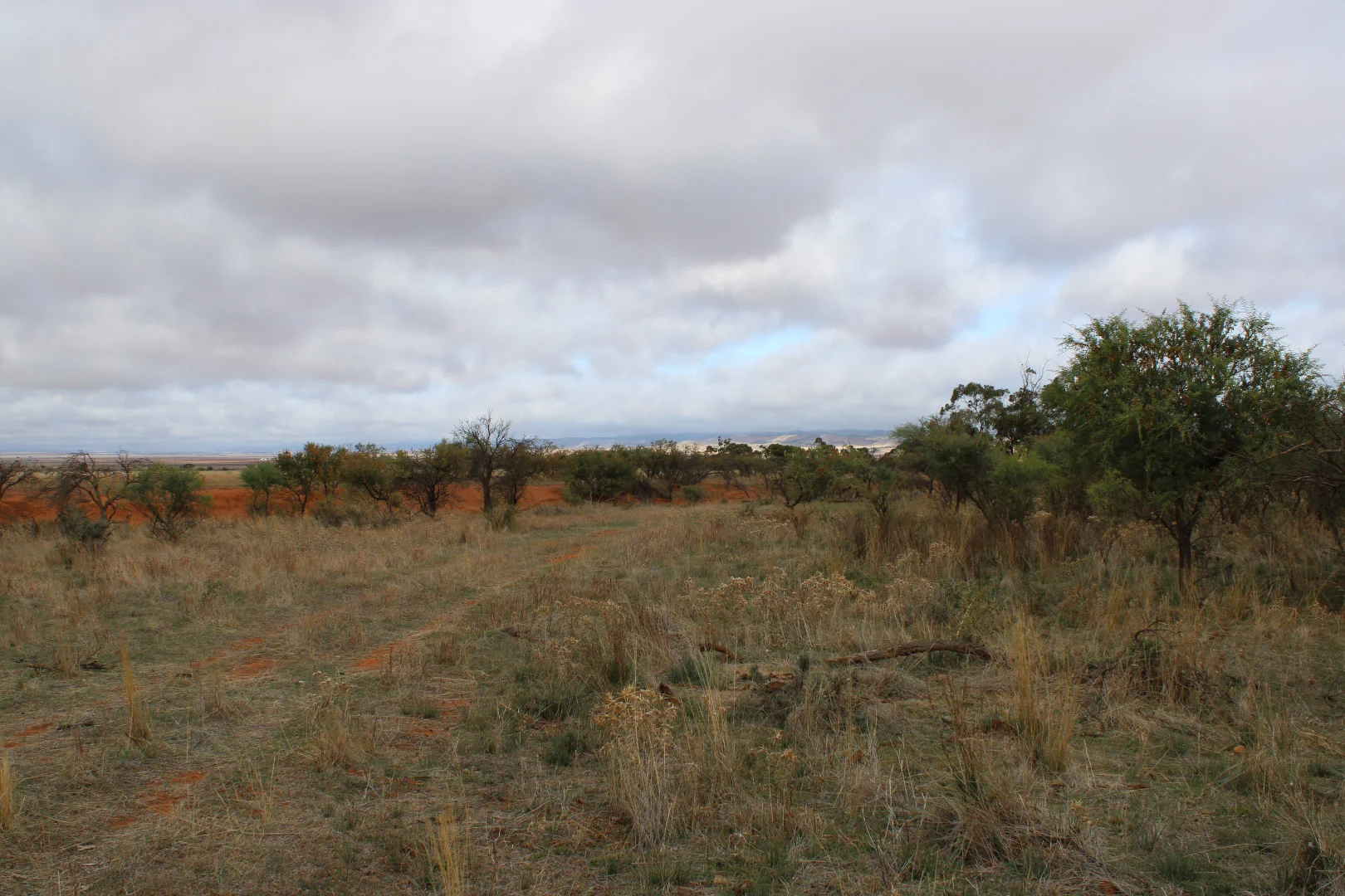 Additional image 12 of "Woodlands" Black Rock Road, Minvalara SA 5422