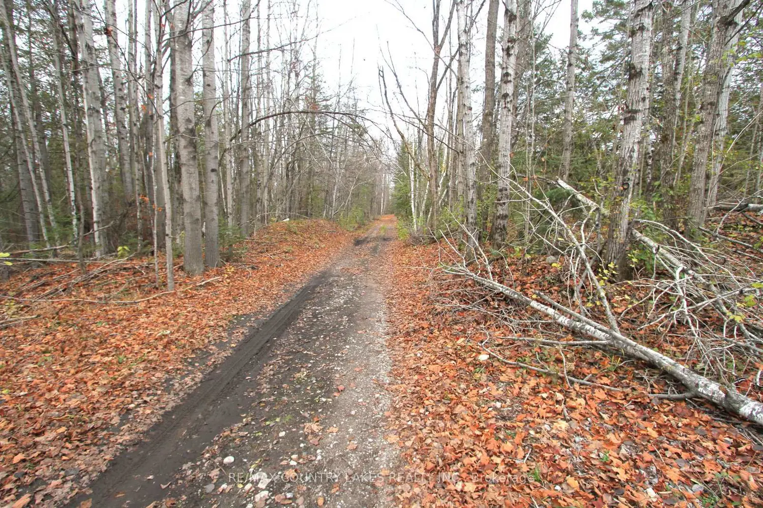 Additional image 17 of Lt3 Ramblewood Trail