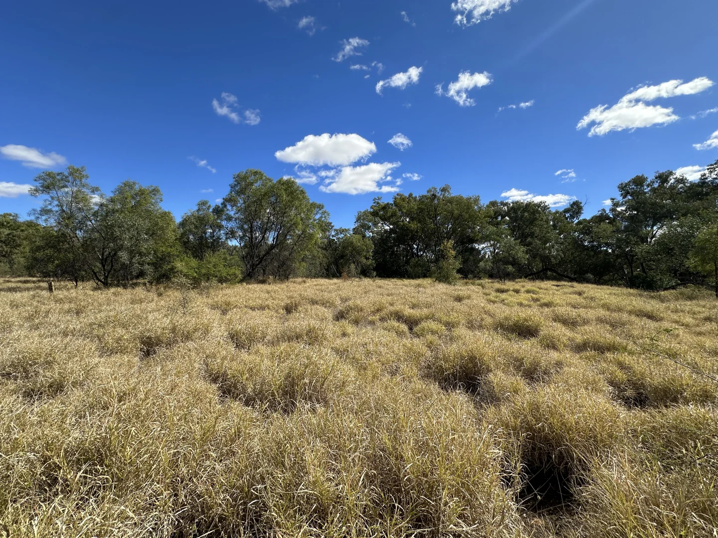 Additional image 7 of 0 Zieman Street, Bakers Bend QLD 4470