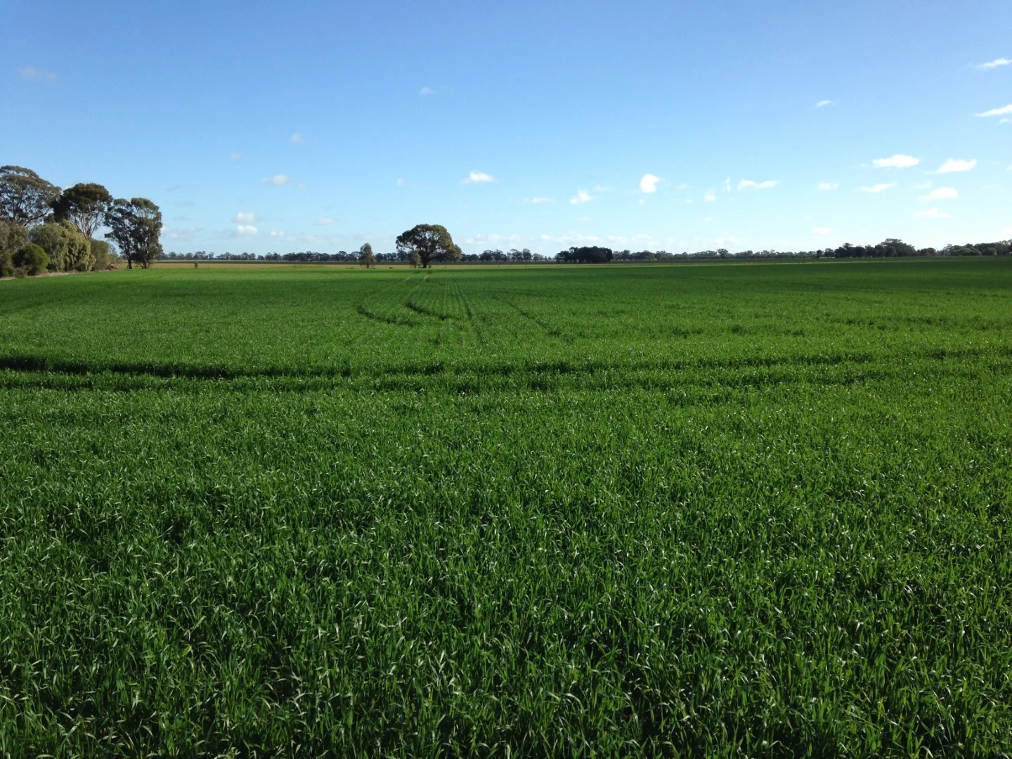 Additional image 8 of 25 Trewicks Road, Elmore VIC 3558