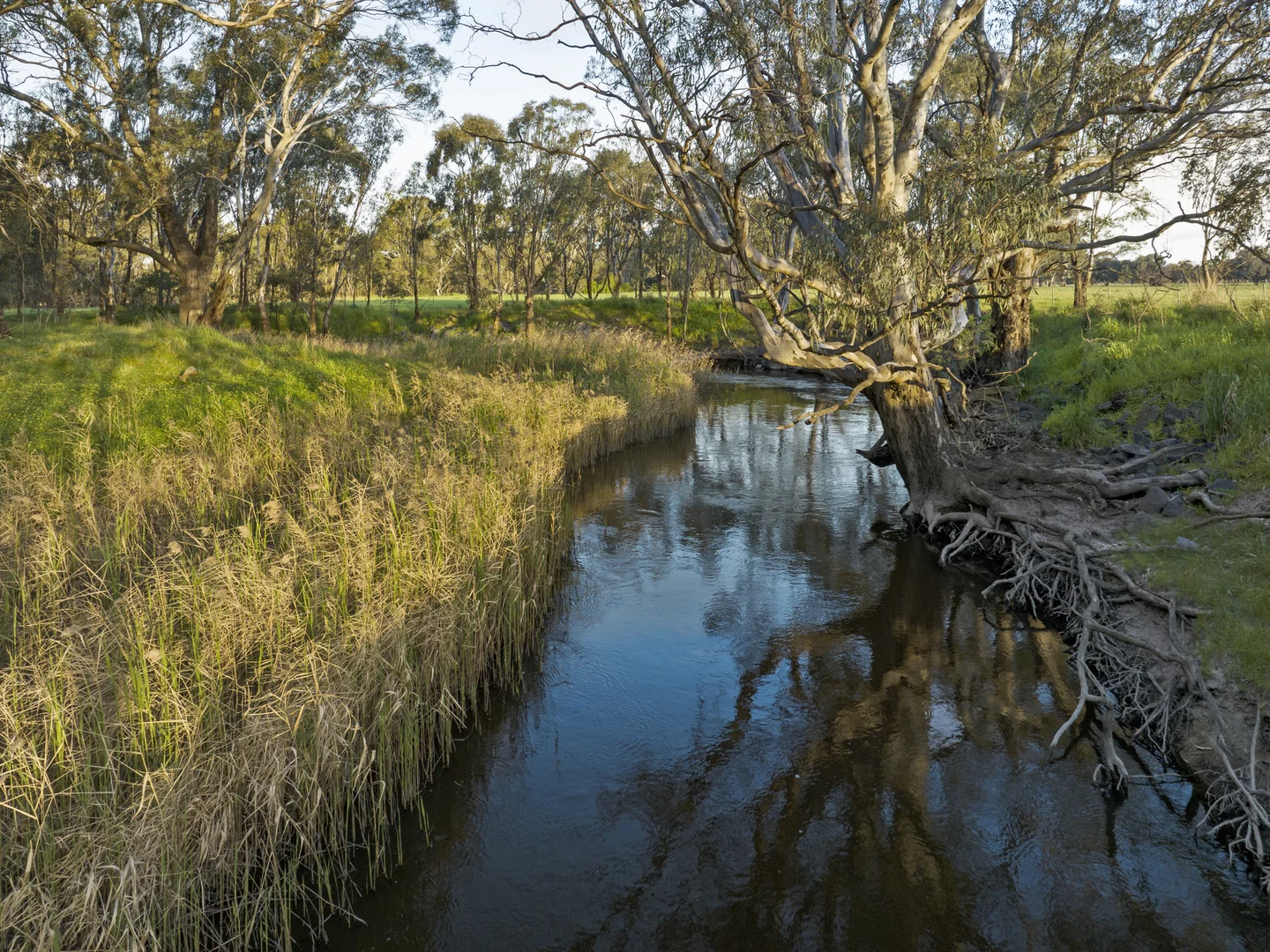 Additional image 6 of 111 Moglonemby Road, Euroa VIC 3666
