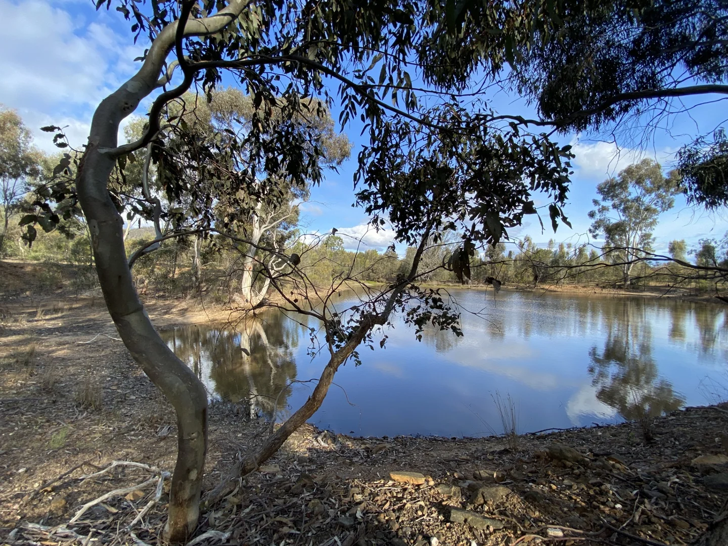 Additional image 42 of 518 Mount Back Road, Tarrengower VIC 3463