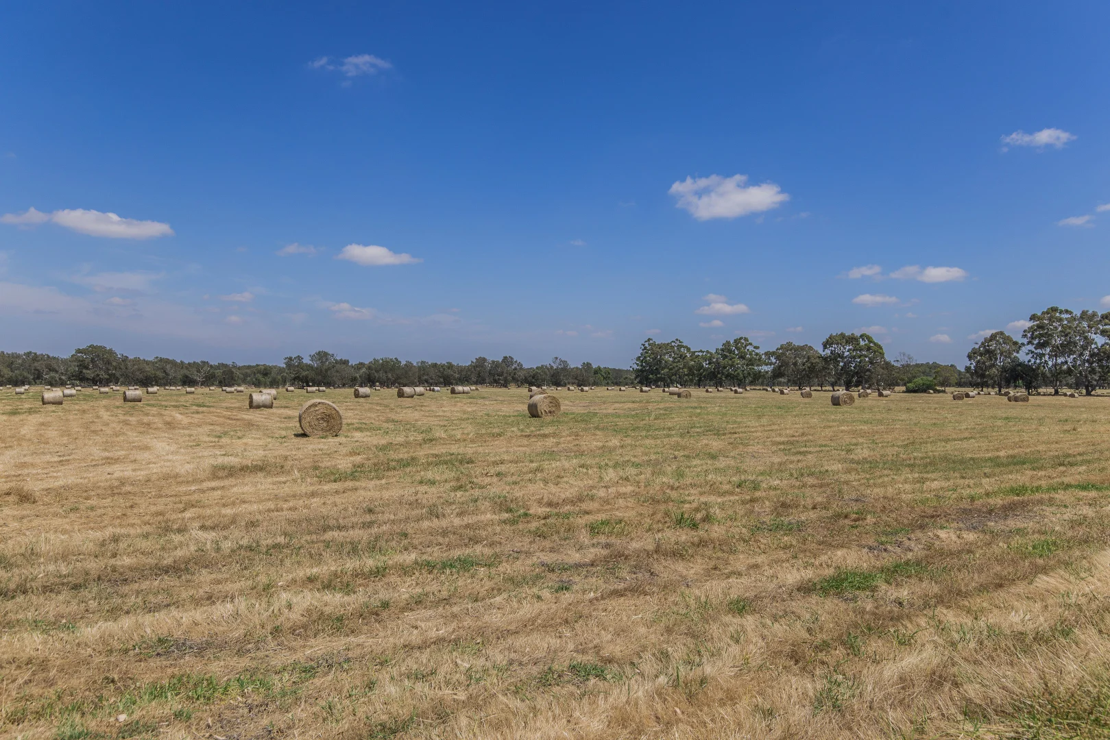 Additional image 9 of 156 Feast Road, Mardella WA 6125